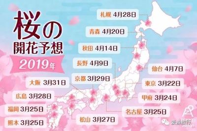全球目光聚焦日本的樱花季,错过等一年!